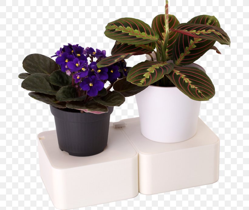 Flowerpot Houseplant Herb, PNG, 700x691px, Flowerpot, Flower, Herb, Houseplant, Plant Download Free
