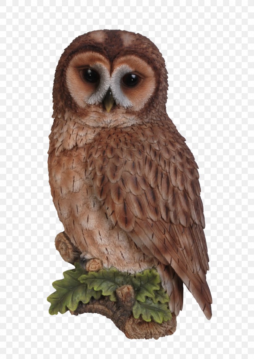 Tawny Owl Bird Long-eared Owl Wall, PNG, 1080x1523px, Owl, Animal, Barn Owl, Beak, Bird Download Free