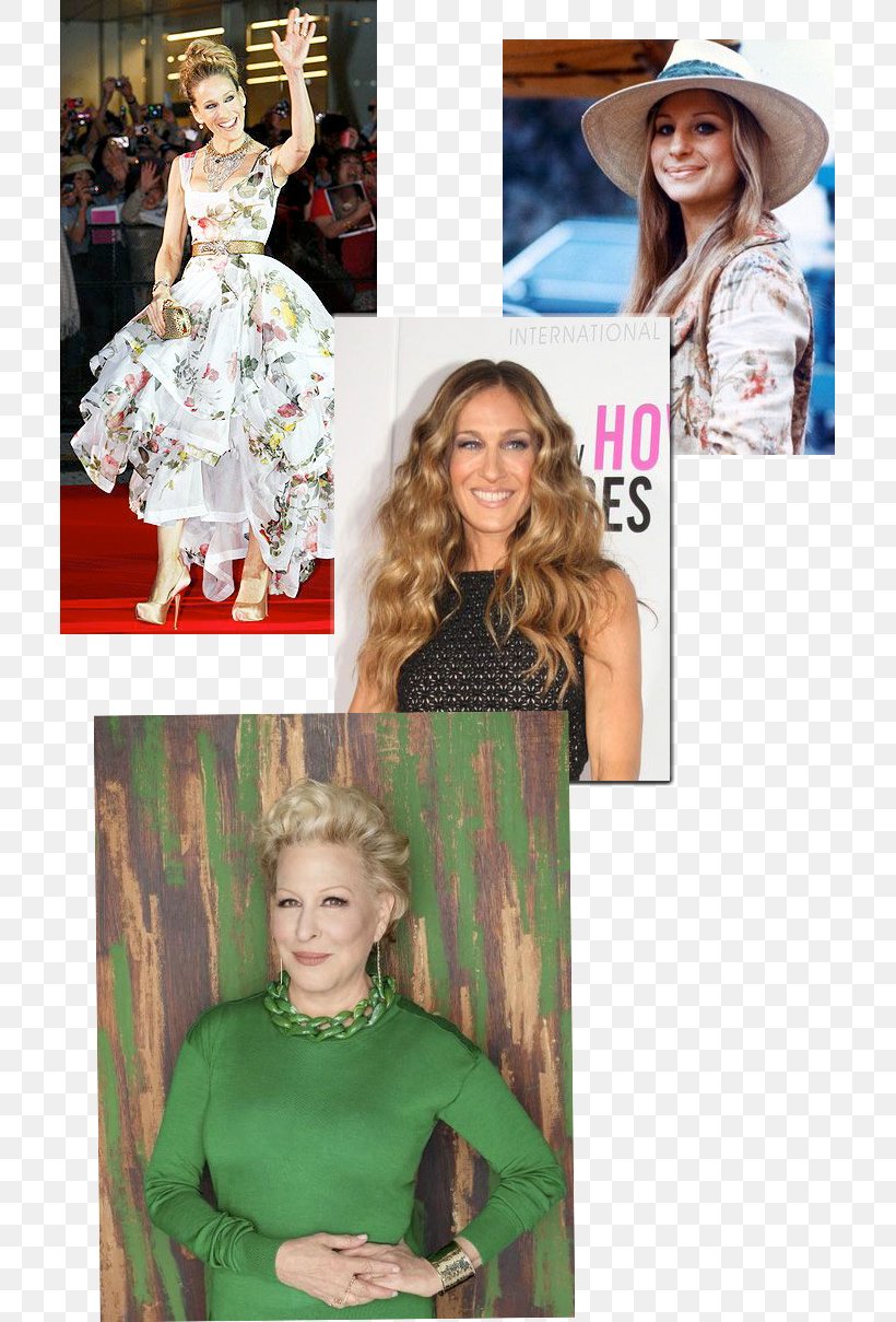 Barbra Streisand Olivia Palermo Sarah Jessica Parker Celebrity Socialite, PNG, 709x1209px, Watercolor, Cartoon, Flower, Frame, Heart Download Free