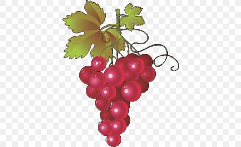 Common Grape Vine Wine Concord Grape Clip Art, PNG, 500x500px, Common Grape Vine, Berry, Concord Grape, Flowering Plant, Food Download Free