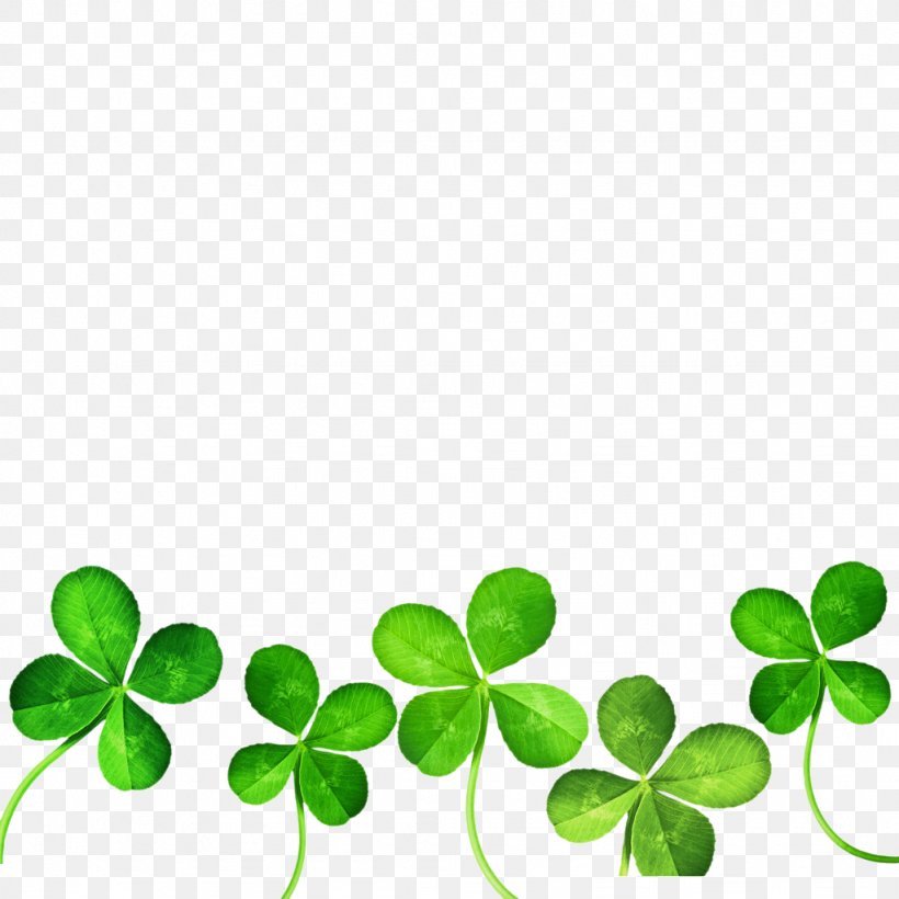 Four-leaf Clover Clip Art, PNG, 1024x1024px, Fourleaf Clover, Blog, Clover, Flowering Plant, Free Content Download Free