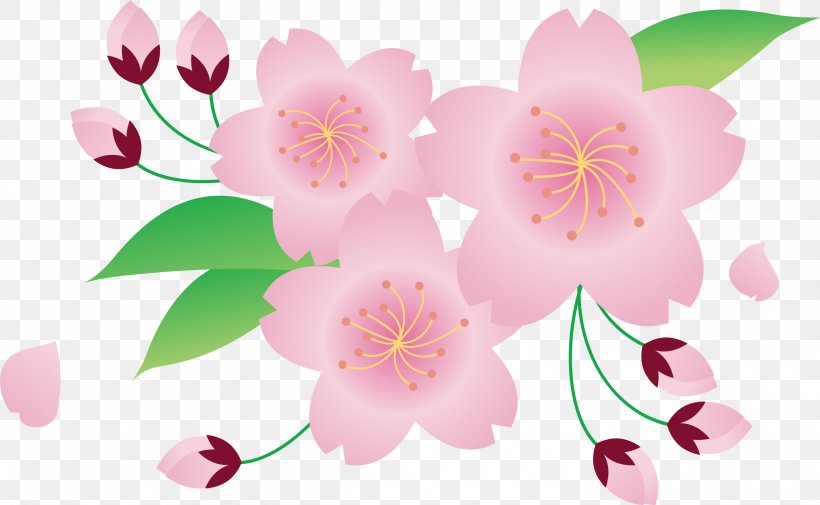 Japan Clip Art Openclipart Cherry Blossom Illustration, PNG, 2395x1477px, Japan, Blossom, Branch, Cherries, Cherry Blossom Download Free