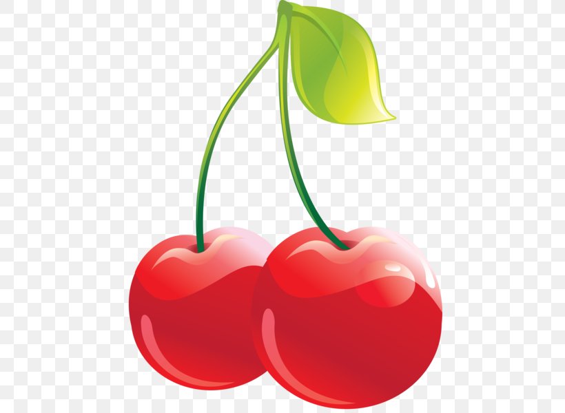 Cordial Cherry Fruit Clip Art, PNG, 464x600px, Cordial, Cherry, Drawing, Food, Fruit Download Free