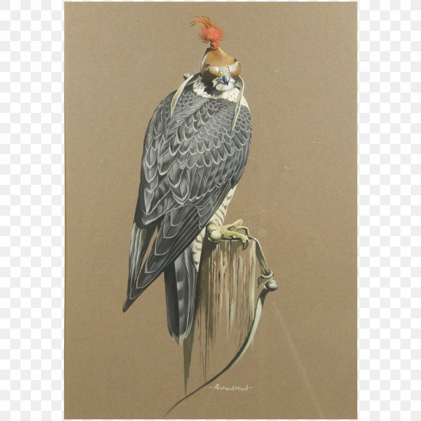 Fine Art Peregrine Falcon, PNG, 1032x1032px, Art, Art Museum, Artist, Beak, Bird Download Free