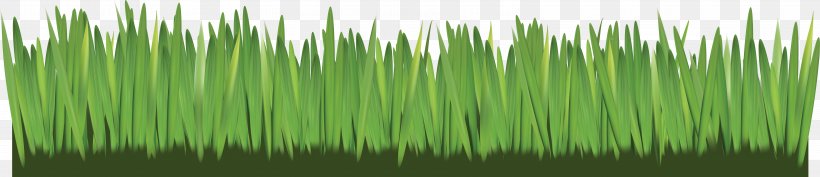 Herbaceous Plant Plant Stem Clip Art, PNG, 6502x1408px, Herbaceous Plant, Animaatio, Chrysopogon Zizanioides, Commodity, Digital Image Download Free