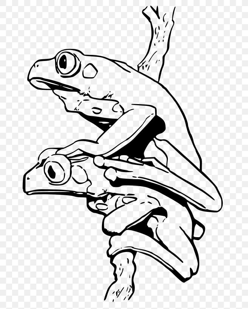 Blue Poison Dart Frog Coloring Book Strawberry Poison-dart Frog Phyllobates, PNG, 707x1024px, Frog, Amphibian, Animal, Arm, Art Download Free