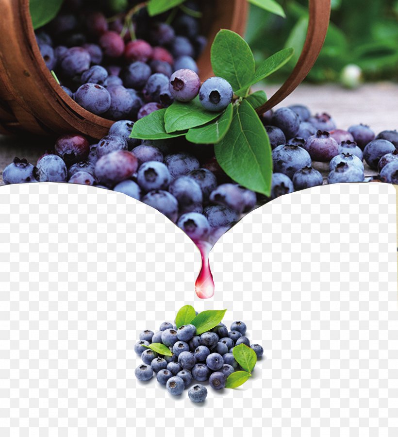 Blueberry Bilberry Fruit Antioxidant, PNG, 3484x3827px, Berry, Agriculture, Anthocyanin, Antioxidant, Auglis Download Free
