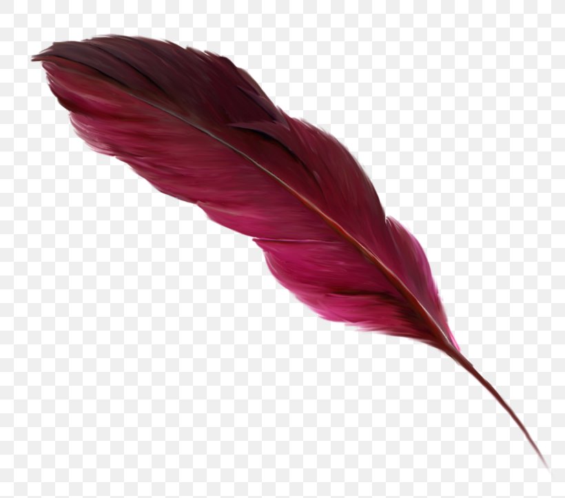 Feather Bird Quill Paper Owl, PNG, 800x723px, Feather, Barn Owl, Bird, Leaf, Magenta Download Free