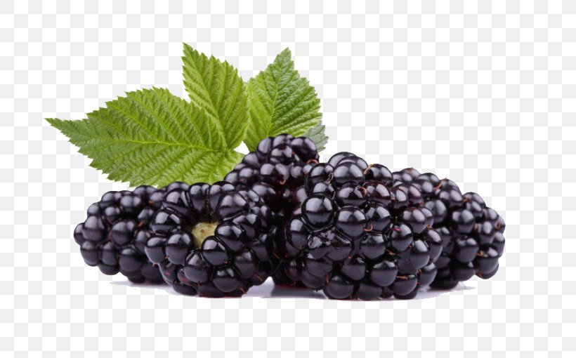 Frutti Di Bosco Black Raspberry Blackberry Red Raspberry, PNG, 765x510px, Frutti Di Bosco, Antioxidant, Berry, Bilberry, Black Raspberry Download Free