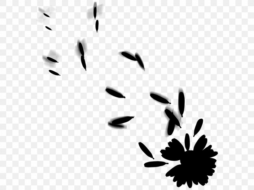 Leaf Clip Art Line Plant Stem Flowering Plant, PNG, 1600x1200px, Leaf, Blackandwhite, Branch, Flower, Flowering Plant Download Free