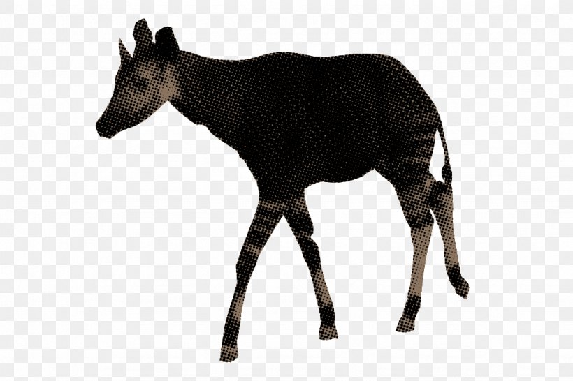 Musk Deers Okapi Antelope Wildlife, PNG, 1024x682px, Musk Deers, Animal, Antelope, Deer, Fur Download Free