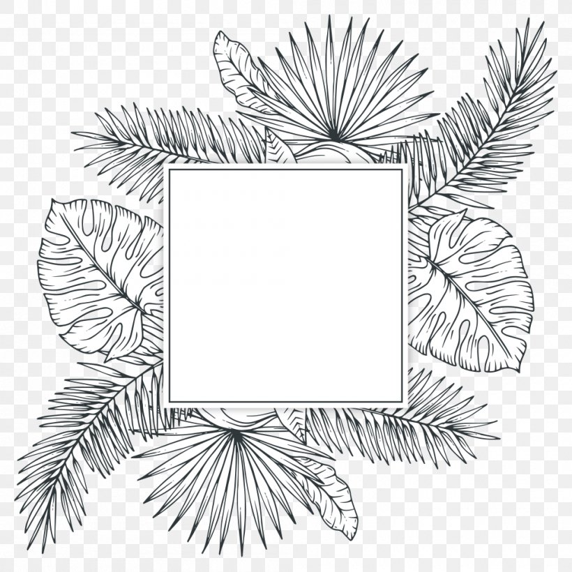 Tropics Plant Sketch, PNG, 1000x1000px, Tropics, Arecaceae, Black And White, Branch, Drawing Download Free