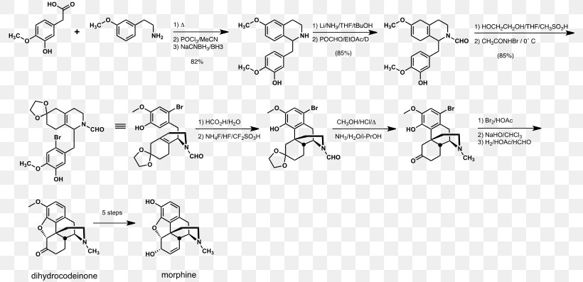 Document Total Synthesis Of Morphine And Related Alkaloids Wikipedia, PNG, 800x397px, Watercolor, Cartoon, Flower, Frame, Heart Download Free