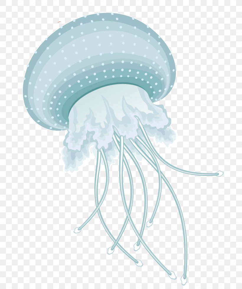 Jellyfish Information Clip Art, PNG, 2237x2675px, 2017, Jellyfish, Animation, Cnidaria, Color Motion Picture Film Download Free