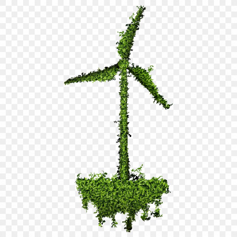 Photography Illustration, PNG, 1000x1000px, Photography, Ecology, Energy, Grass, Green Download Free