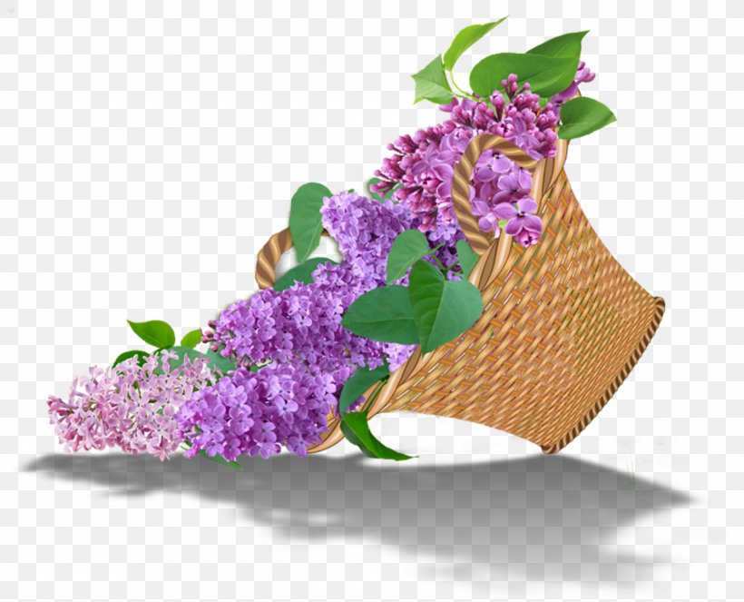 Floral Design Lilac Flower Bouquet Cut Flowers, PNG, 1280x1035px, Floral Design, Color, Cut Flowers, Flora, Floristry Download Free