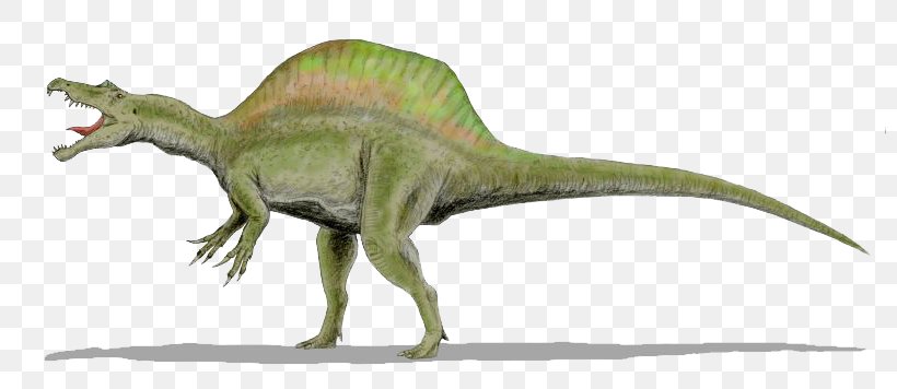 Raptor Red Tyrannosaurus Velociraptor Spinosaurus Deinonychus, PNG, 800x356px, Raptor Red, Animal Figure, Animatronics, Brachiosaurus, Deinonychus Download Free