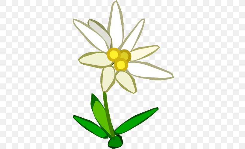 Edelweiss Royalty-free Clip Art, PNG, 500x500px, Edelweiss, Artwork, Computer, Cut Flowers, Daisy Download Free