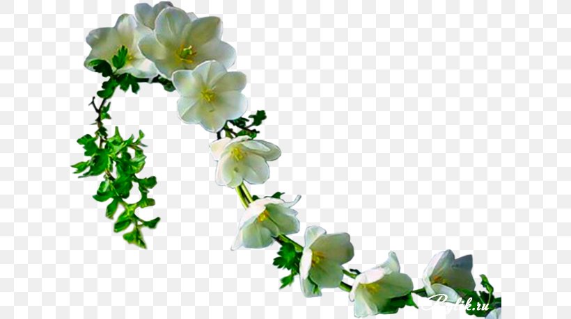 Flower Ppt Clip Art, PNG, 621x459px, Flower, Blossom, Branch, Cut Flowers, Digital Image Download Free