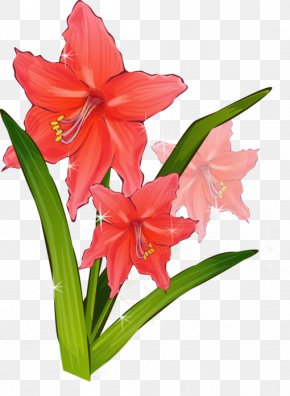 Gladiolus Flower Clip Art, PNG, 1834x1400px, Gladiolus, Birth Flower ...