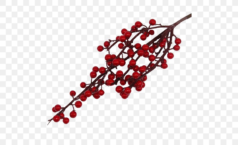 Pink Peppercorn Body Jewellery, PNG, 500x500px, Pink Peppercorn, Berry, Body Jewellery, Body Jewelry, Branch Download Free