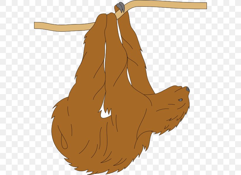 Sloth Clip Art, PNG, 588x595px, Sloth, Arm, Art, Carnivoran, Dog Like Mammal Download Free