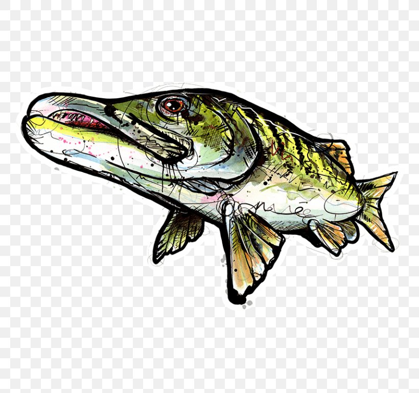 Sticker Decal, Muskie Fishing Localwaters, PNG, 768x768px, Sticker, Artist, Decal, Fauna, Fish Download Free