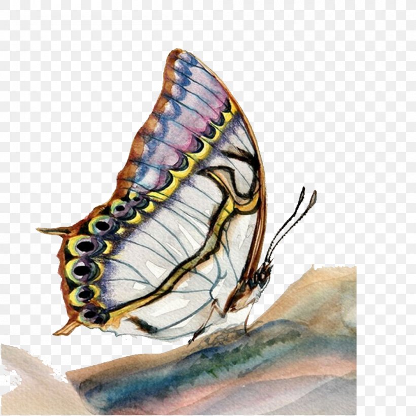 The Art Of Painting Butterfly Oil Painting Watercolor Painting, PNG, 1000x1000px, Art Of Painting, Art, Butterfly, Colored Pencil, Gouache Download Free