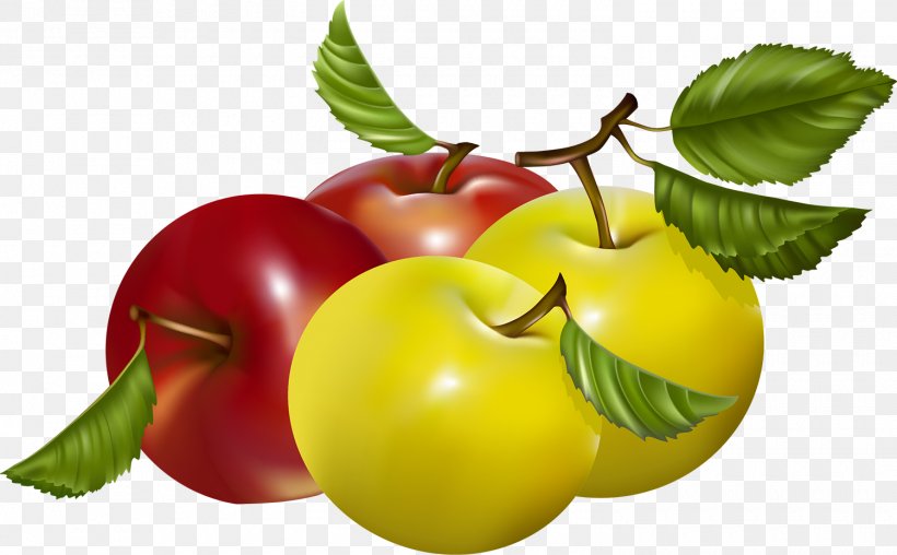 Barbados Cherry Apple Vector Graphics Fruit Vegetarian Cuisine, PNG, 1500x931px, Barbados Cherry, Acerola, Acerola Family, Apple, Cherry Download Free