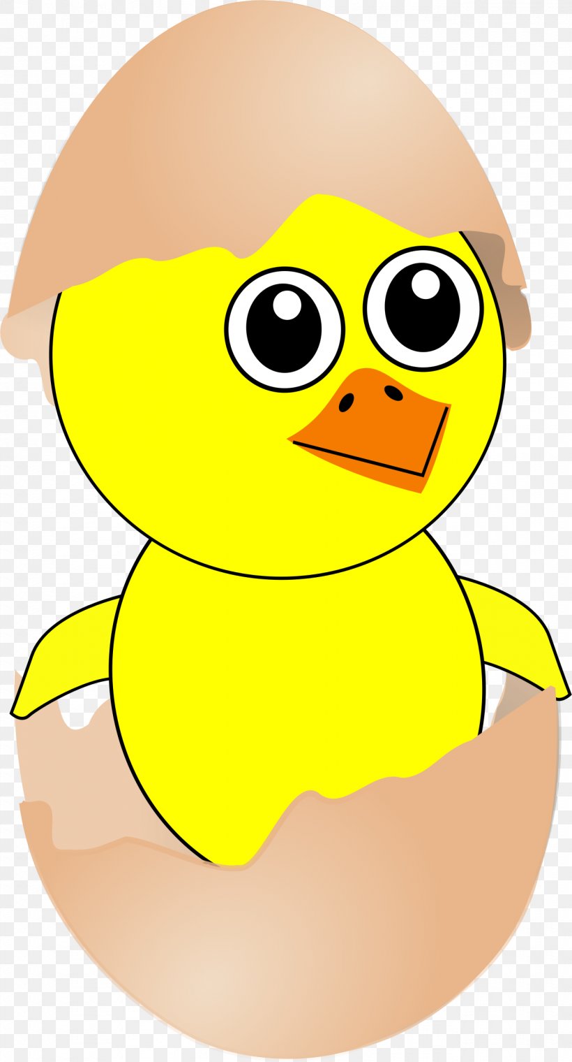 Chicken Egg Cartoon Drawing, PNG, 1291x2394px, Chicken, Art, Beak, Bird,  Cartoon Download Free