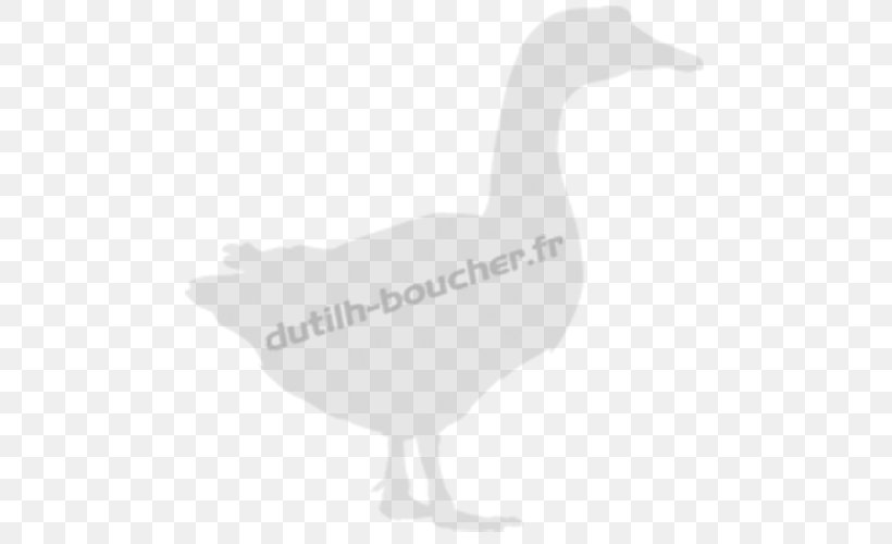 Duck Goose Fowl Fauna Feather, PNG, 500x500px, Duck, Beak, Bird, Black And White, Ducks Geese And Swans Download Free