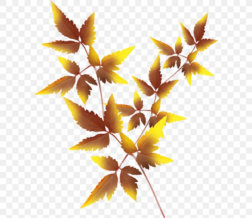 Twig Leaf Autumn Clip Art, PNG, 600x710px, Twig, Autumn, Branch, Cut Flowers, Leaf Download Free