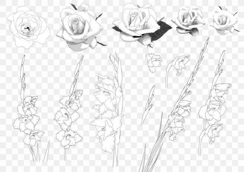 Orchids Floral Design Image, PNG, 2894x2047px, Orchids, Artwork, Black And White, Body Jewelry, Color Download Free