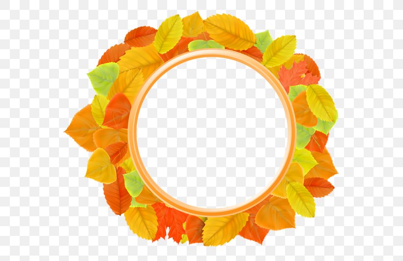 Picture Frames Autumn Clip Art, PNG, 600x531px, Picture Frames, Autumn, Autumn Leaf Color, Flower, Image Resolution Download Free