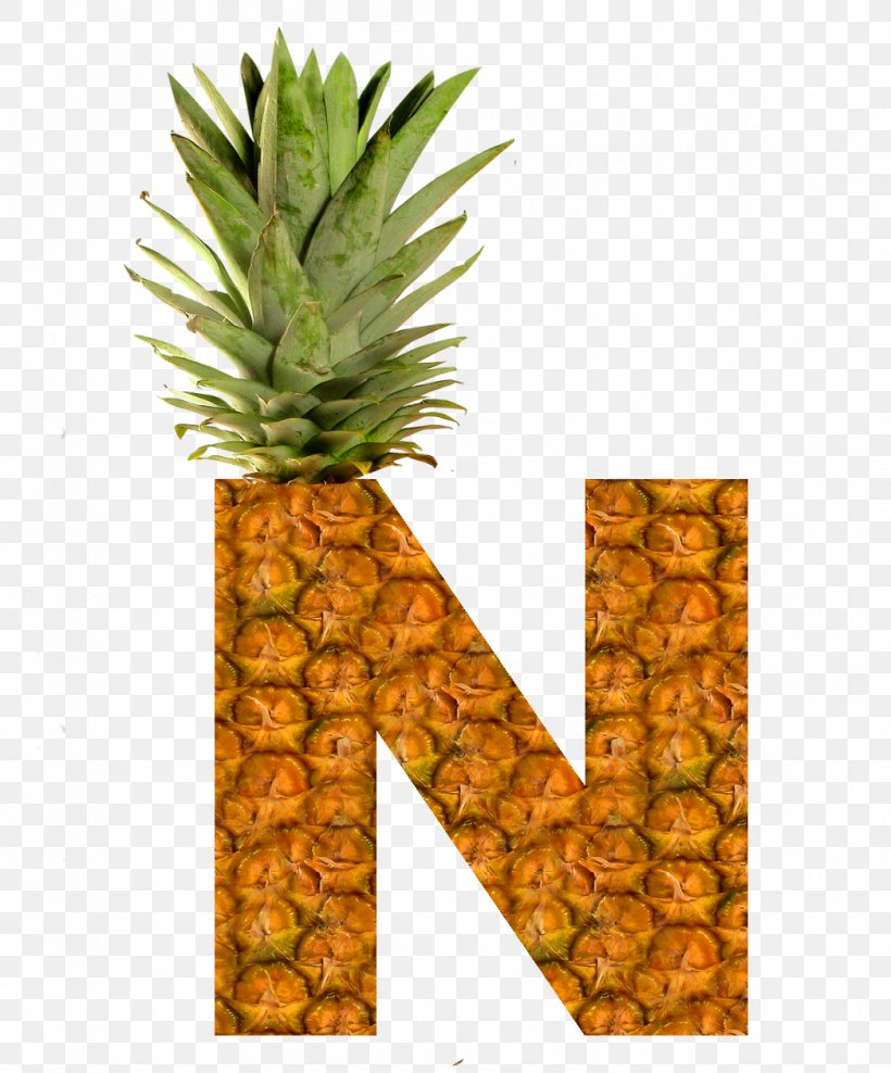Pineapple Pizza Succade Upside-down Cake Fruit, PNG, 1046x1261px, Pineapple, Alphabet, Ananas, Bromeliaceae, Flowerpot Download Free