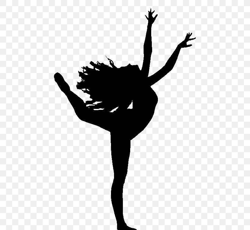 Ballet Dancer Free Dance, PNG, 648x756px, Dance, Arm, Art, Ballet, Ballet Dancer Download Free