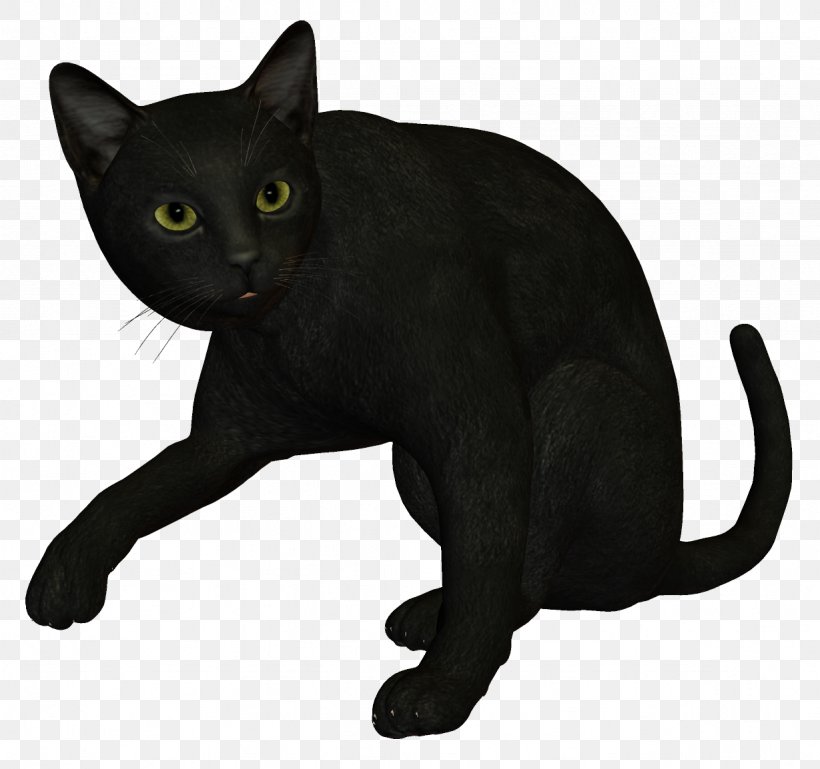 Bombay Cat Burmese Cat Korat Havana Brown Black Cat, PNG, 1229x1154px, Bombay Cat, Asian, Black, Black Cat, Black Panther Download Free