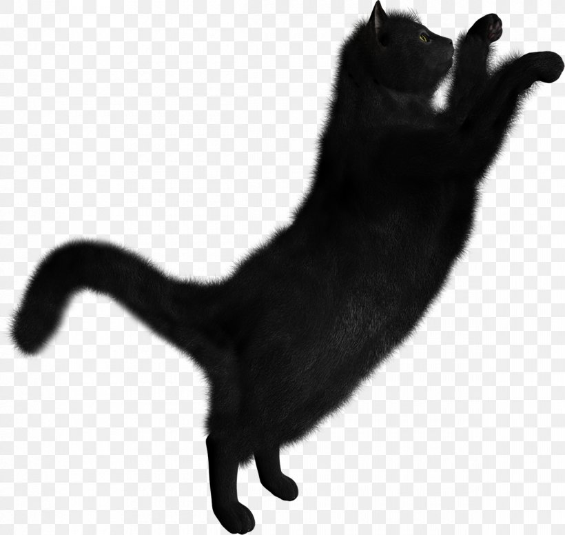 Clip Art Transparency Kitten Black Cat, PNG, 1200x1137px, Kitten, Black And White, Black Cat, Bombay, Bombay Cat Download Free