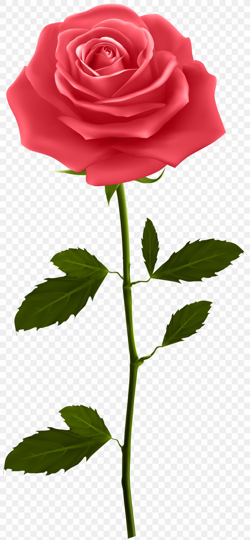 Rose Clip Art, PNG, 3706x8000px, Rose, Blue, Blue Rose, China Rose, Cut Flowers Download Free