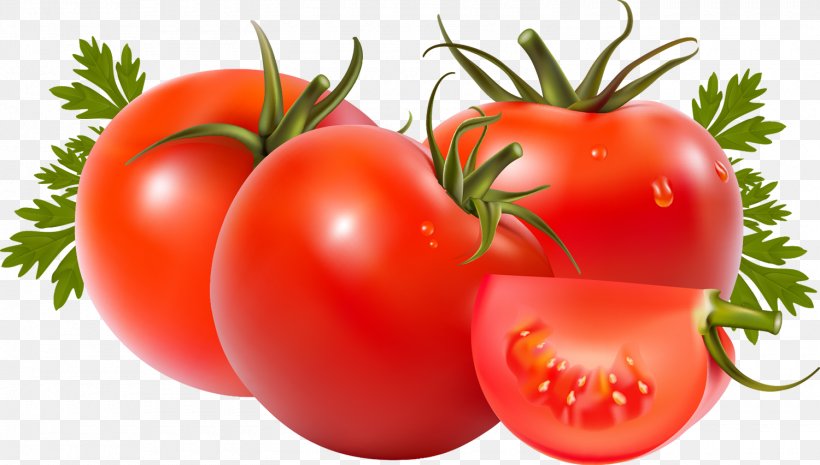 Tomato Soup Tomato Juice Roma Tomato Can, PNG, 1500x852px, Tomato Soup, Beefsteak Tomato, Bush Tomato, Can, Cherry Tomatoes Download Free