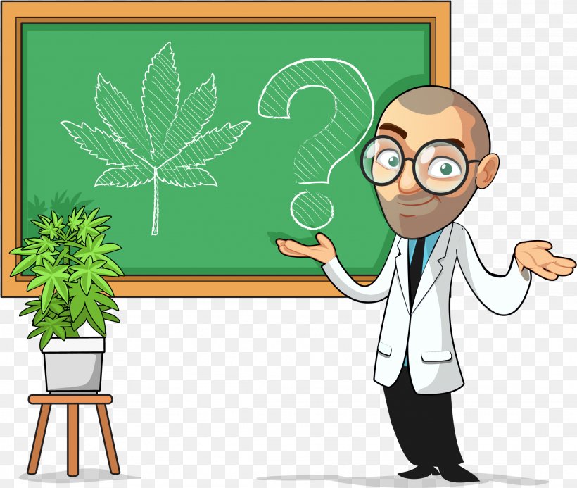 Cannabis Cultivation Clip Art Leafly Medical Cannabis, PNG, 1947x1646px, Cannabis, Art, Blackboard, Cannabinoid, Cannabis Cultivation Download Free