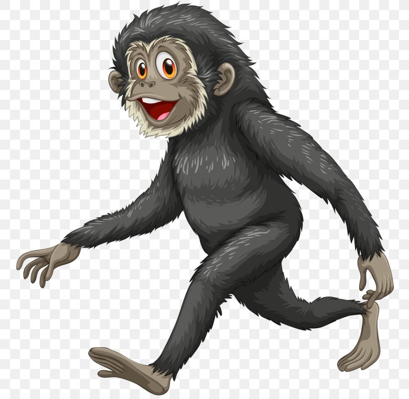 Gibbon Orangutan Gorilla Common Chimpanzee Illustration, PNG, 760x800px, Gibbon, Black Crested Gibbon, Chimpanzee, Common Chimpanzee, Depositphotos Download Free