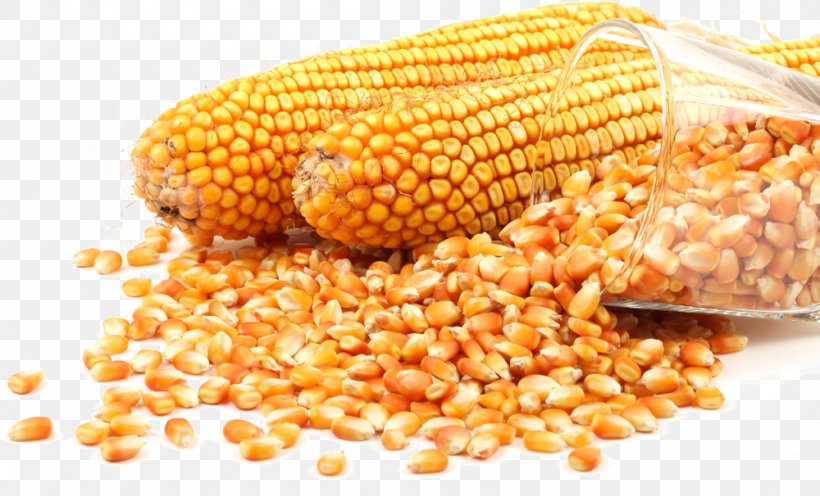 Stock Photography Popcorn Maize Grain, PNG, 1000x606px, Stock Photography, Cereal, Commodity, Corn Kernels, Corn On The Cob Download Free