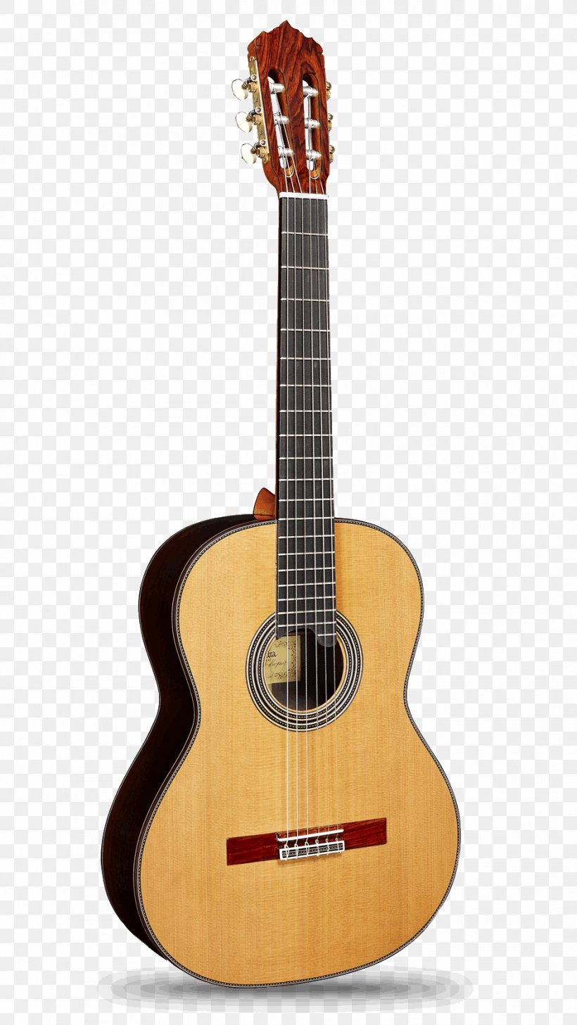 Alhambra Classical Guitar Flamenco Guitar Acoustic Guitar, PNG, 940x1671px, Watercolor, Cartoon, Flower, Frame, Heart Download Free