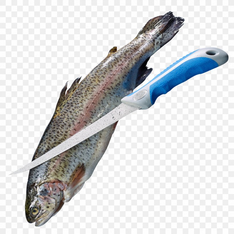Askari Fishing Salmon Hunting Fish Products, PNG, 1776x1776px, Askari, Animal Source Foods, Barramundi, Capelin, Clothing Download Free