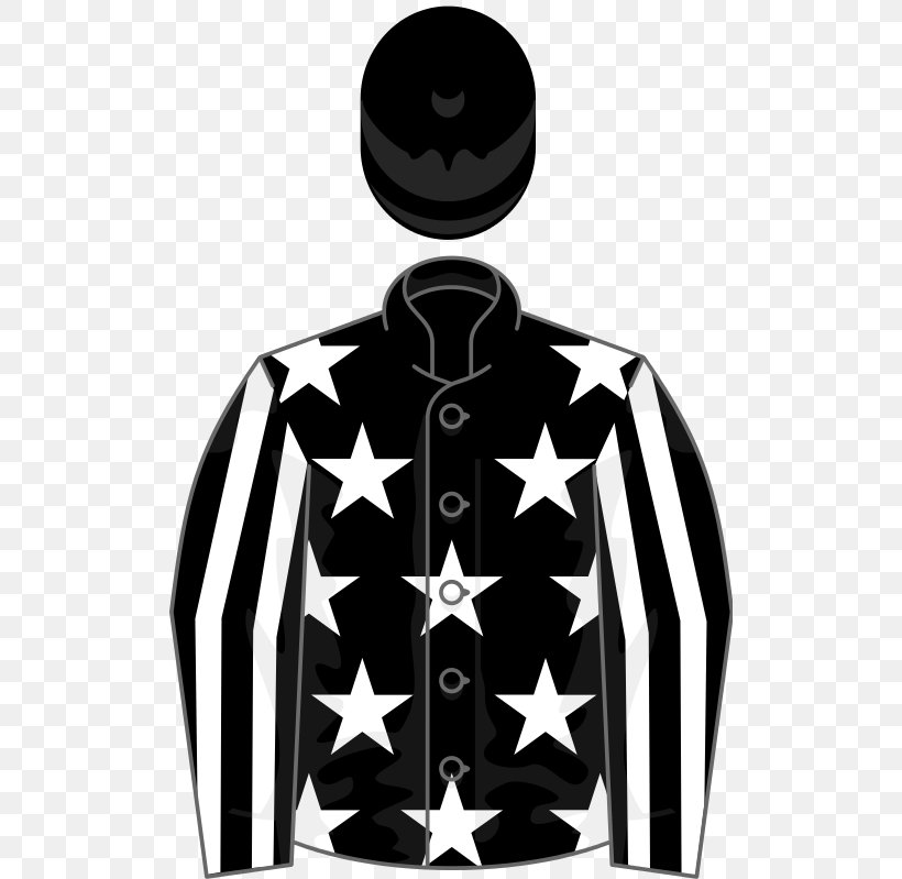 Marseille National Hunt Racing Ascot Racecourse Cheltenham Racecourse Betfair Chase, PNG, 512x799px, Marseille, Ascot Racecourse, Betfair Chase, Black, Black And White Download Free