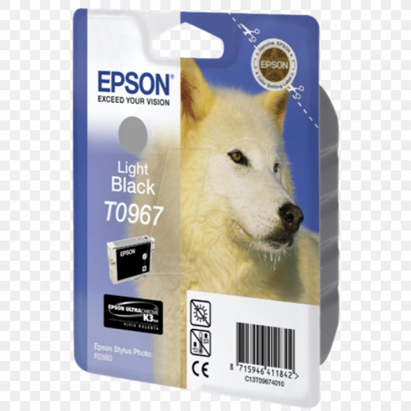 Paper Ink Cartridge Epson Epson Print Cartridge Ink-jet Consumables And Kits, PNG, 1000x1000px, Paper, Cartridge World, Dog, Dog Breed Group, Dog Like Mammal Download Free