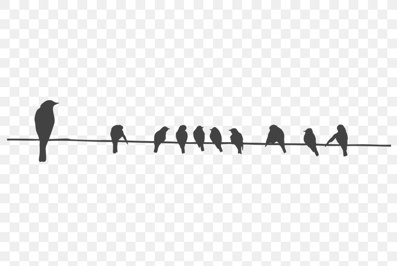 Bird Wire Columbidae Stencil, PNG, 800x550px, Bird, Beak, Bird On A Wire, Birdcage, Black And White Download Free