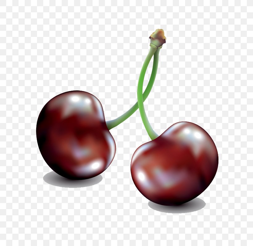 Cherry Drawing Illustration, PNG, 800x800px, Cherry, Berry, Drawing, Food, Fruit Download Free