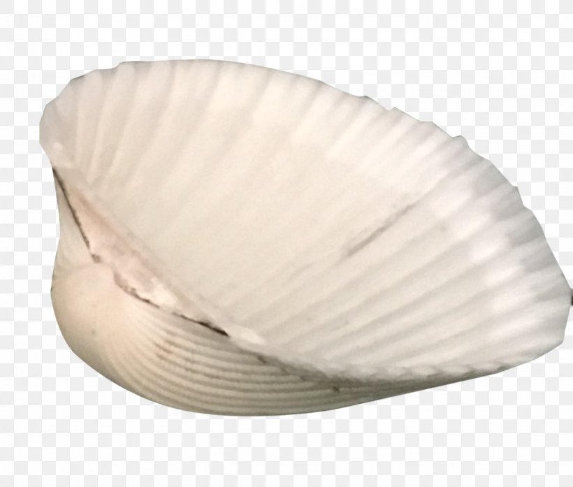 Clam Cockle Mussel Oyster Seashell, PNG, 1024x871px, Clam, Clams Oysters Mussels And Scallops, Cockle, Mussel, Oyster Download Free